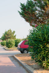 Little Pink Hatch