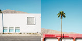 Palm Springs Diptych: Red & White | Studio Edition Set